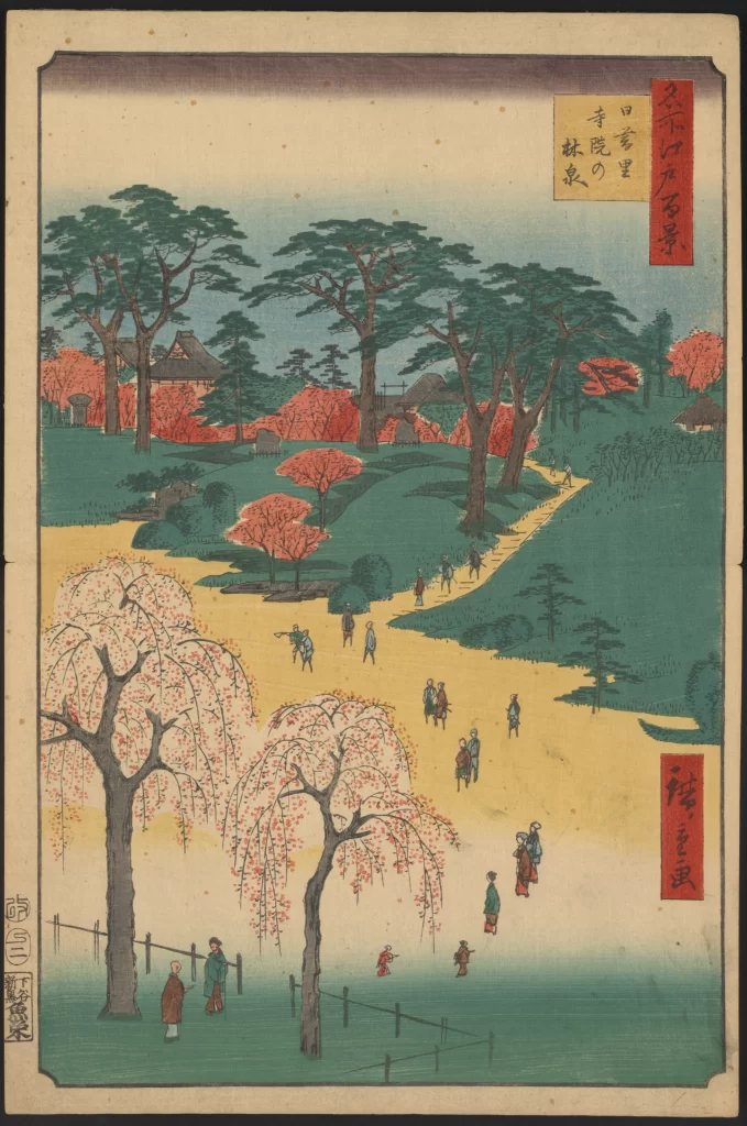Traditional Japanese Landscape Cherry Blossoms Pathway Trees People