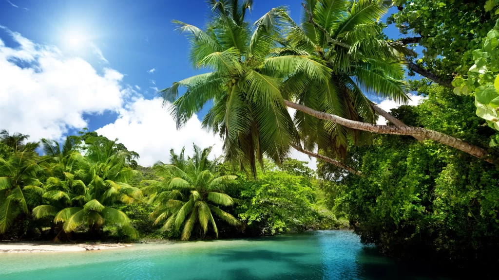 Tropical beach palm trees clear water blue sky white clouds sunshine