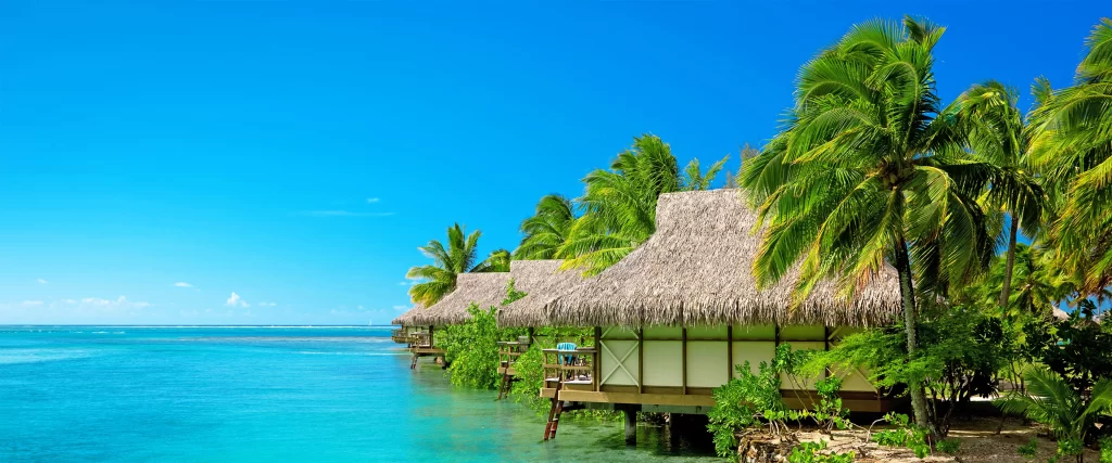 Tropical beach, palm trees, overwater bungalows, clear blue water, sunny sky.