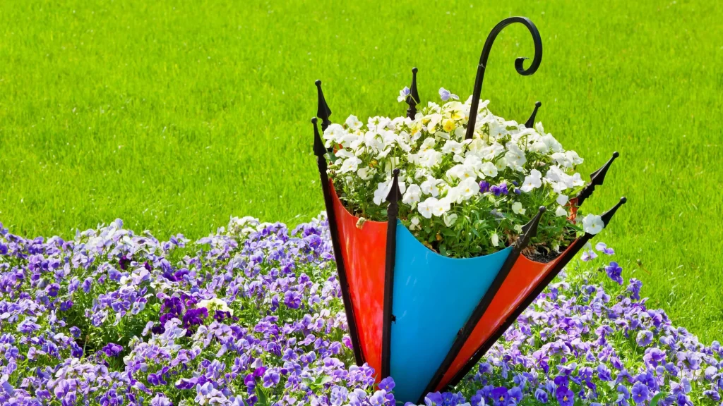 Umbrella flowers garden green grass purple