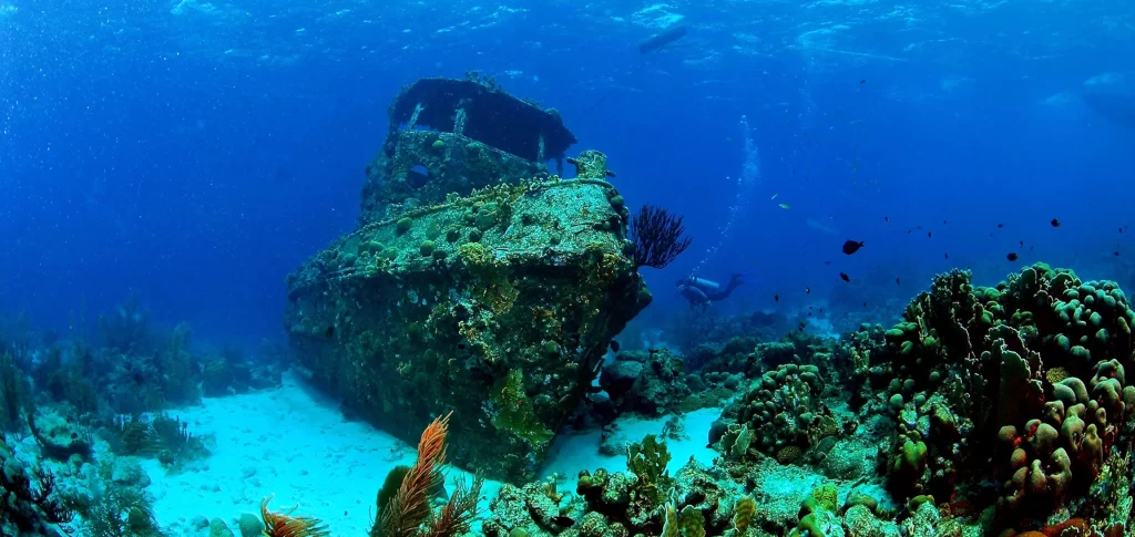 Underwater shipwreck coral marine life diver ocean