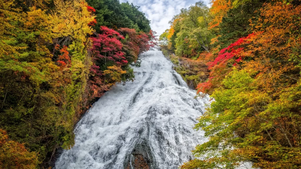 Waterfall autumn colorful leaves nature scenic landscape