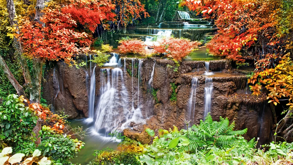 Waterfall autumn leaves nature cascade greenery