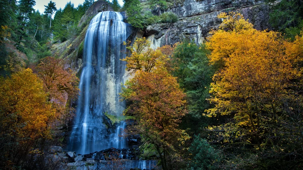 Waterfall autumn trees leaves nature landscape
