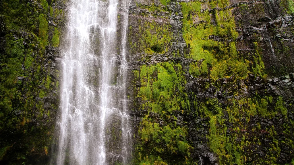 Waterfall greenery moss rock nature cascade