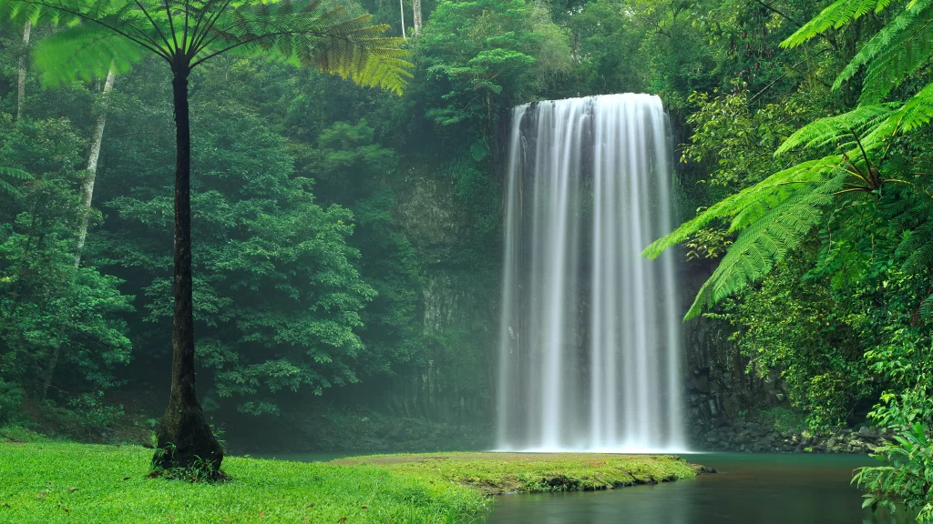 Waterfall, lush greenery, serene, nature, tranquility, misty