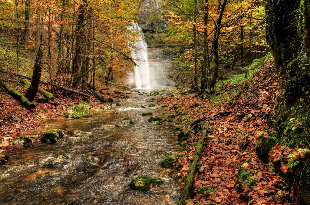 Waterfall stream autumn forest leaves nature