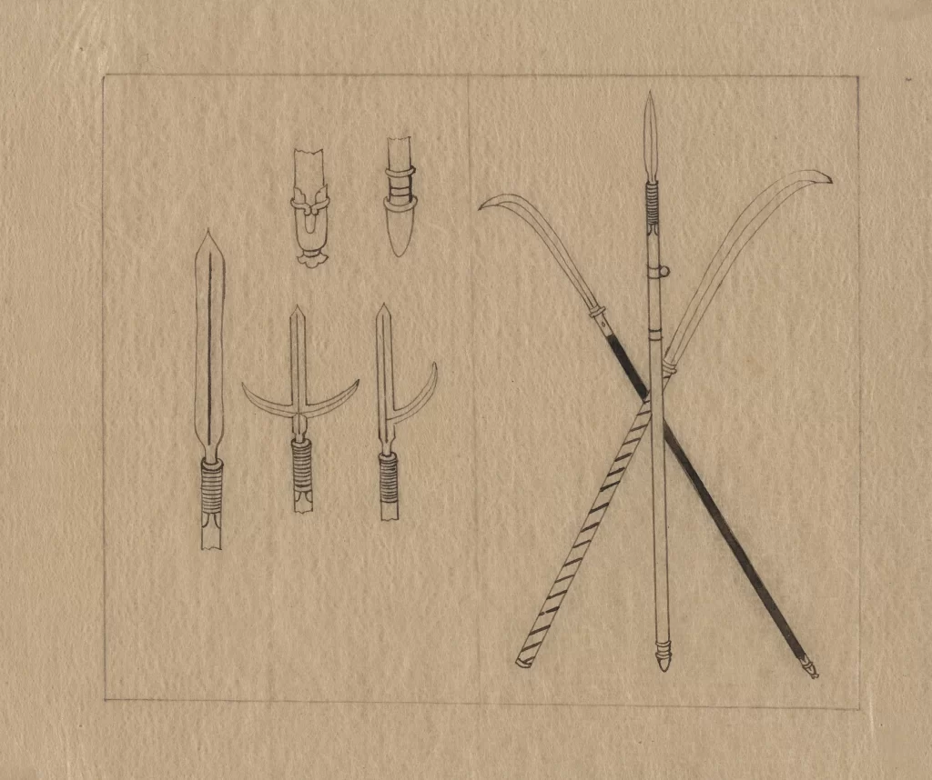 Weapons Historical Drawing Spears Design Illustration