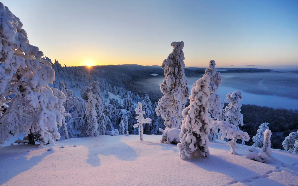 Winter Snow Trees Sunrise Landscape Frosty