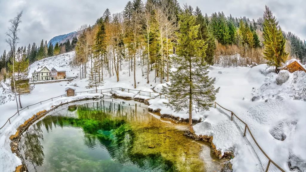 Winter landscape snowcovered trees clear pond mountain view wooden fence serene