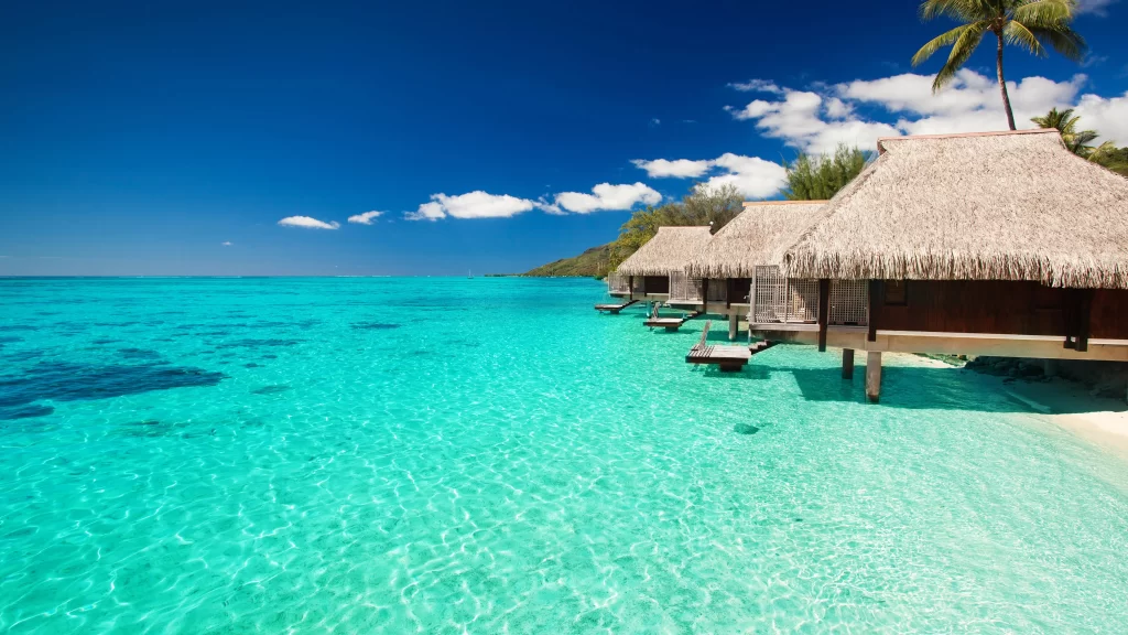 beach ocean bungalows palm trees clear water tropical