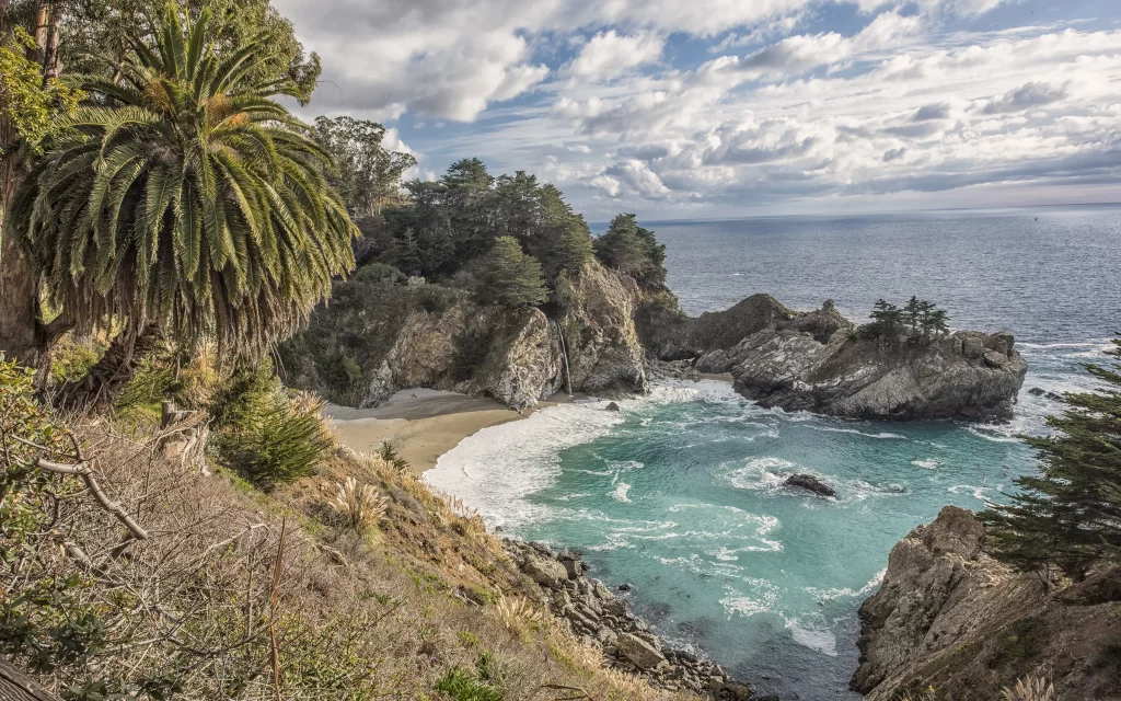 beach ocean cliffs palm trees waves sky