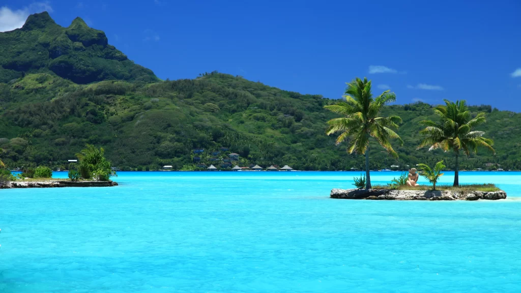 beach ocean palm trees mountains clear water tropical
