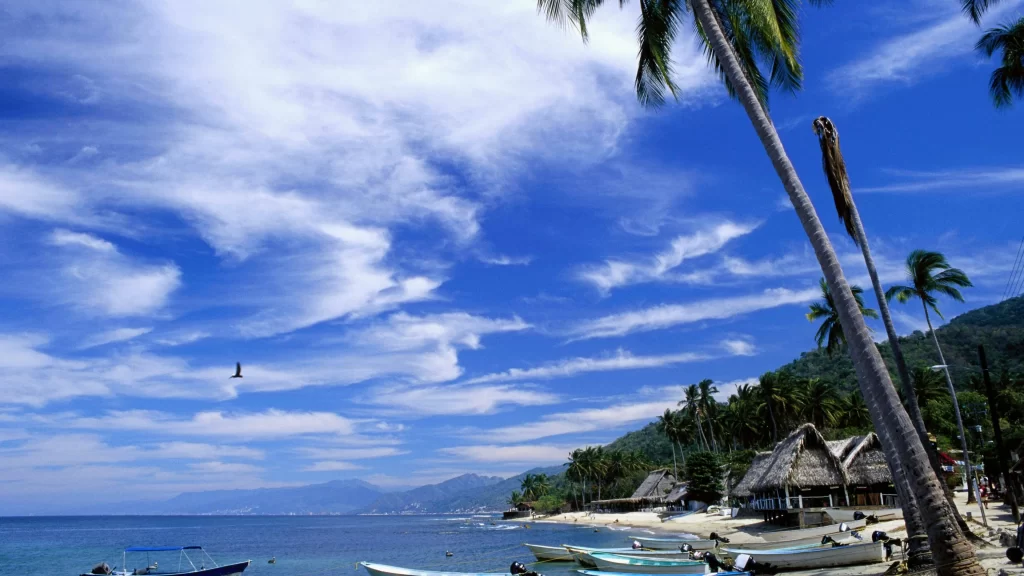 beach palm trees boats sky clouds ocean tropical relaxation