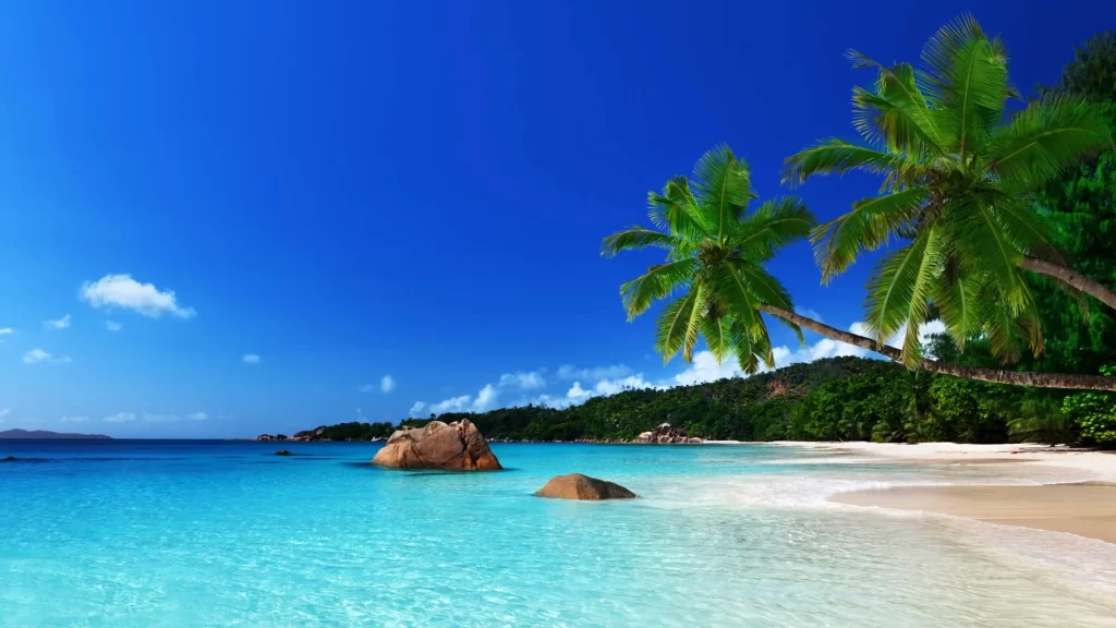 beach, palm trees, clear water, blue sky, white sand, tropical