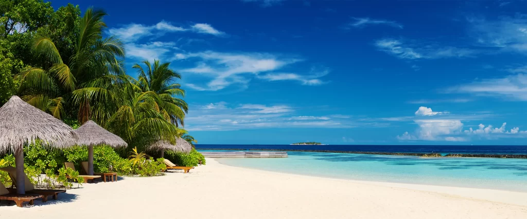 beach, palm trees, sun loungers, clear sky, turquoise water, tropical