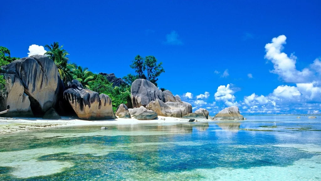 beach, rocks, clear water, blue sky, palm trees, tropical
