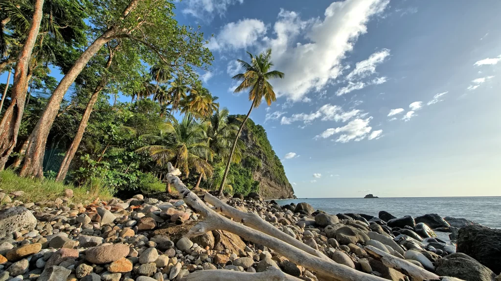 beach rocks trees sky water clouds
