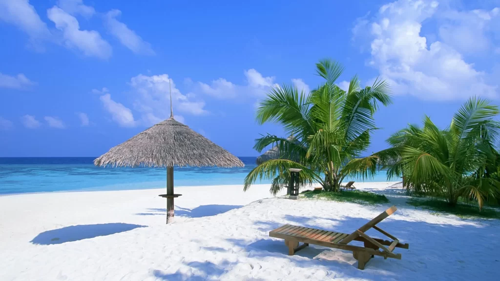 beach, sun, umbrella, lounge chair, palm trees, ocean
