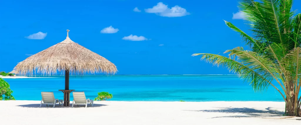beach, umbrella, chairs, ocean, palm tree, sky
