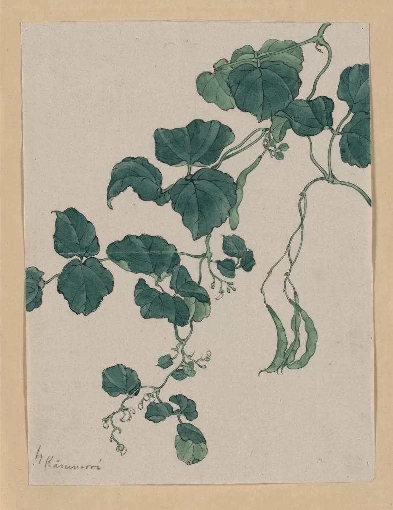 Botanical Illustration Green Leaves Delicate Lines Traditional Art Nature Depiction