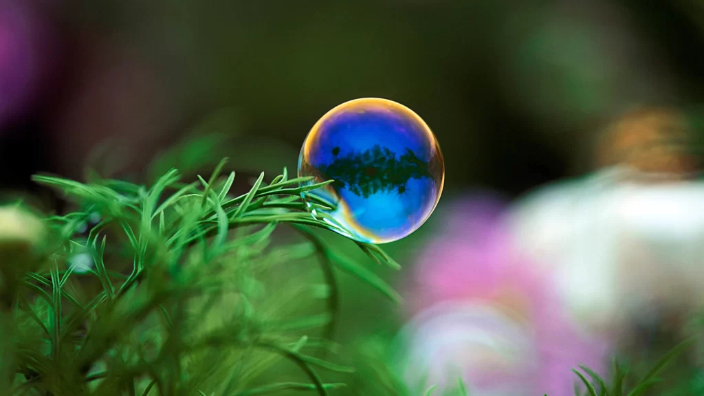 bubble, reflection, nature, green, vibrant, delicate