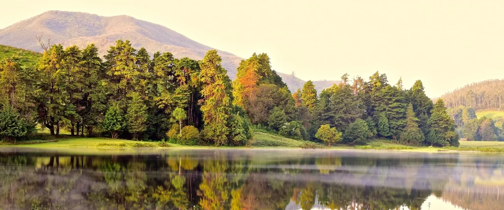 calm lake, green trees, mountain, reflection, mist, serene