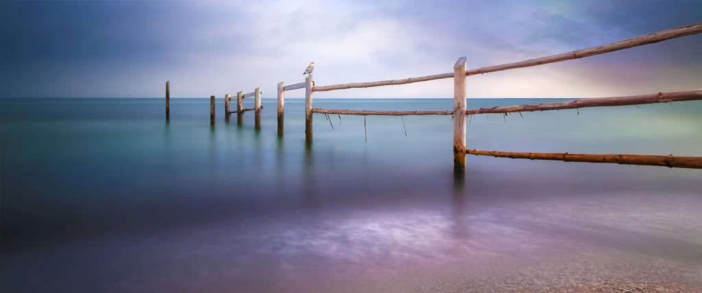 calm sea wooden fence serene sky tranquil seagull