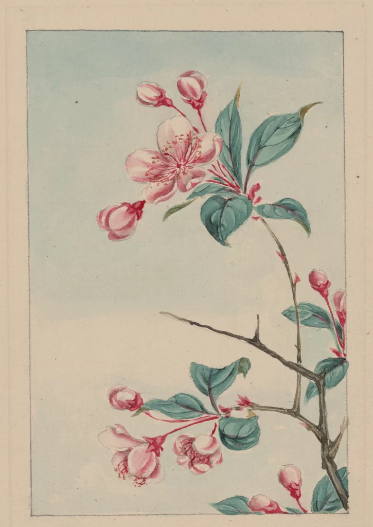 Cherry Blossoms Pink Green Traditional Delicate Watercolor
