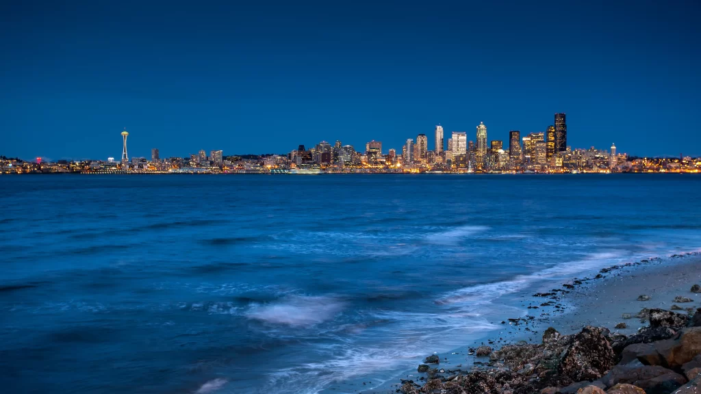 cityscape skyline waterfront night lights urban architecture view