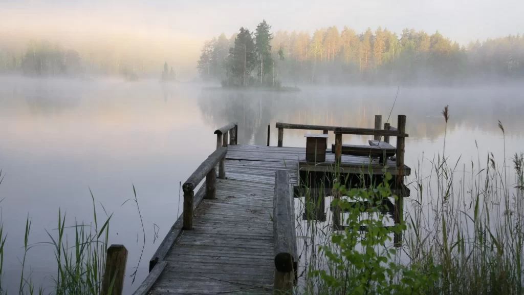 dock lake mist trees morning tranquility