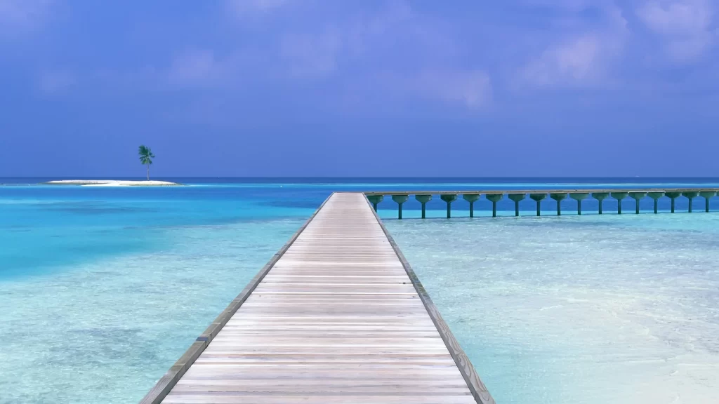 dock ocean island palm tree clear water blue sky