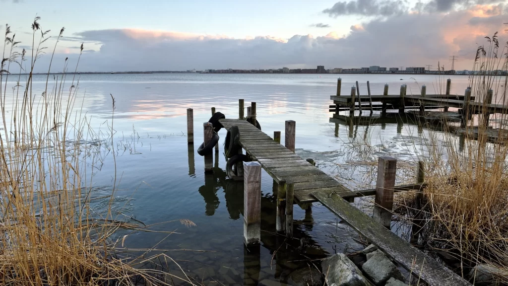 dock water reeds sky clouds