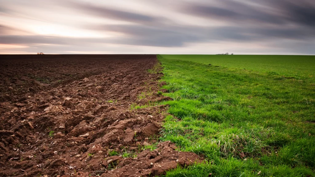 field grass soil sky clouds horizon