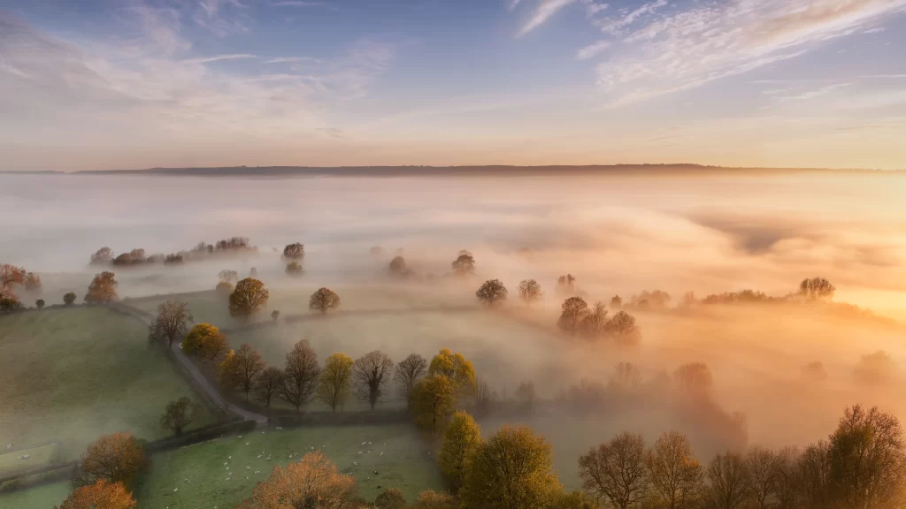 fog landscape sunrise trees fields clouds
