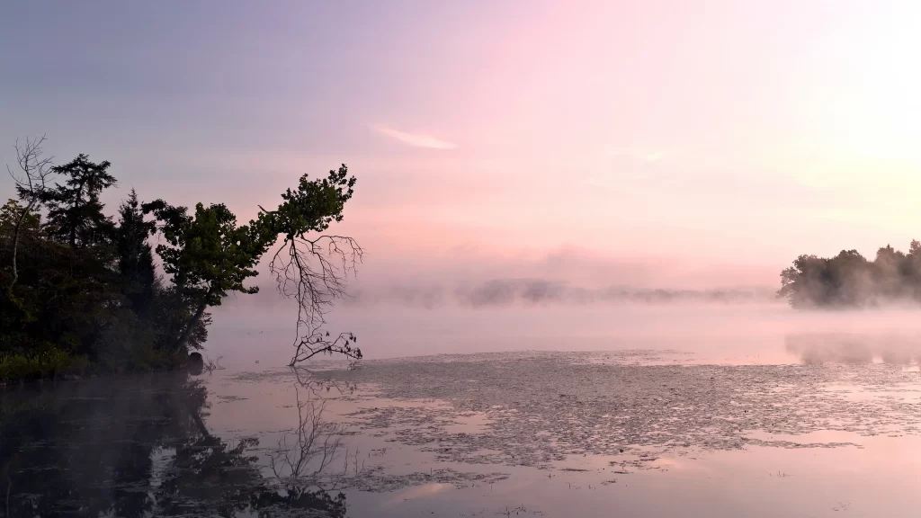 fog sunrise lake trees reflection mist