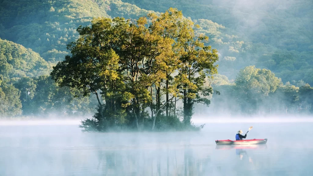 foggy lake trees canoe paddle mist