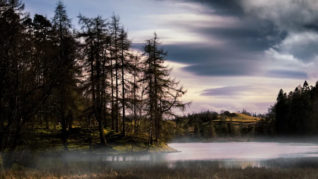 foggy lake trees clouds mist serene nature