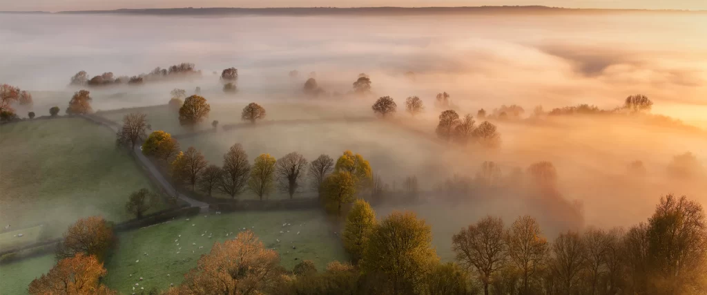 foggy landscape sunrise trees fields mist