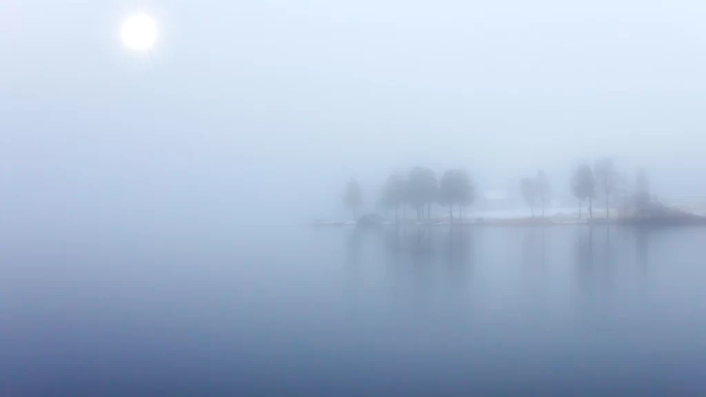 foggy serene water trees reflection mist