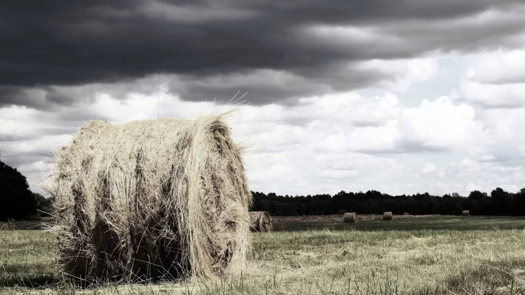 haystack field clouds sky rural landscape