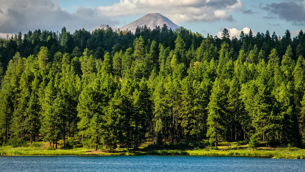 lake forest mountain sky trees clouds