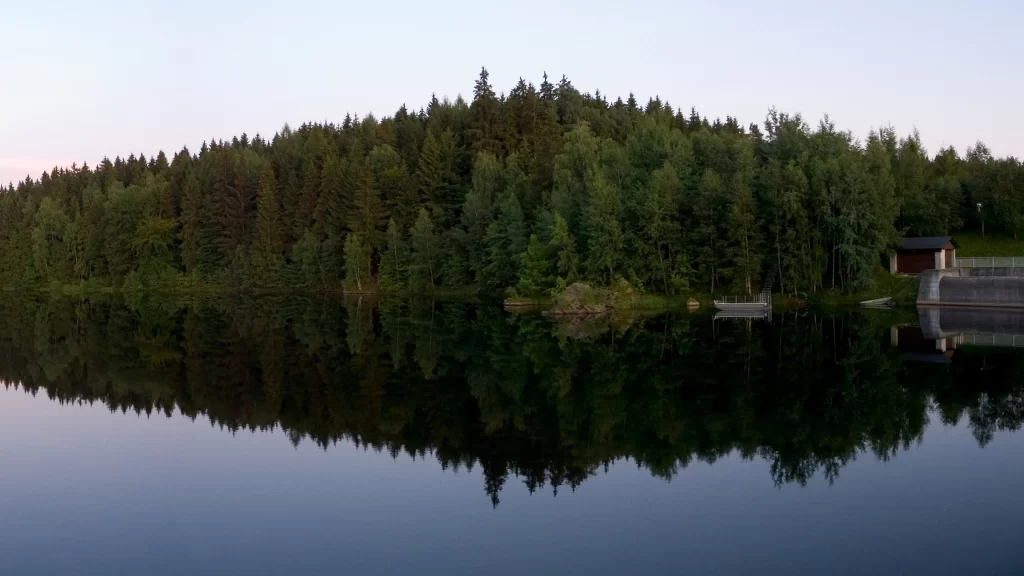 lake forest reflection trees sky water