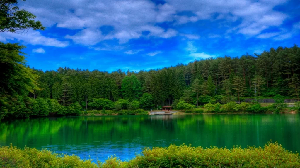 lake forest sky clouds green reflection