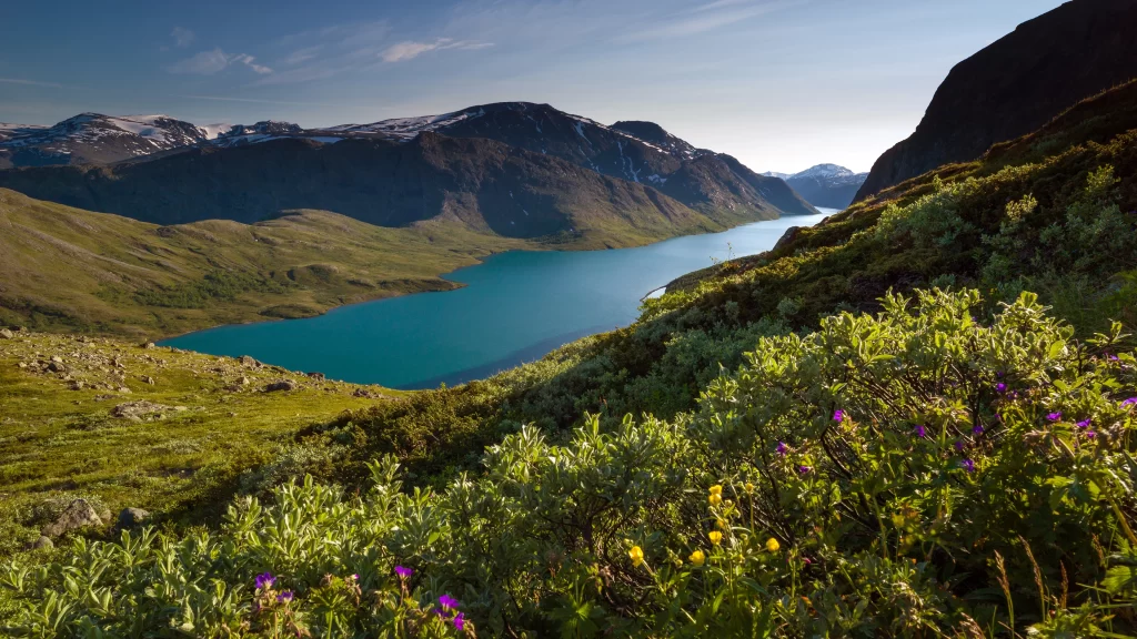 lake mountain greenery flowers clear sky