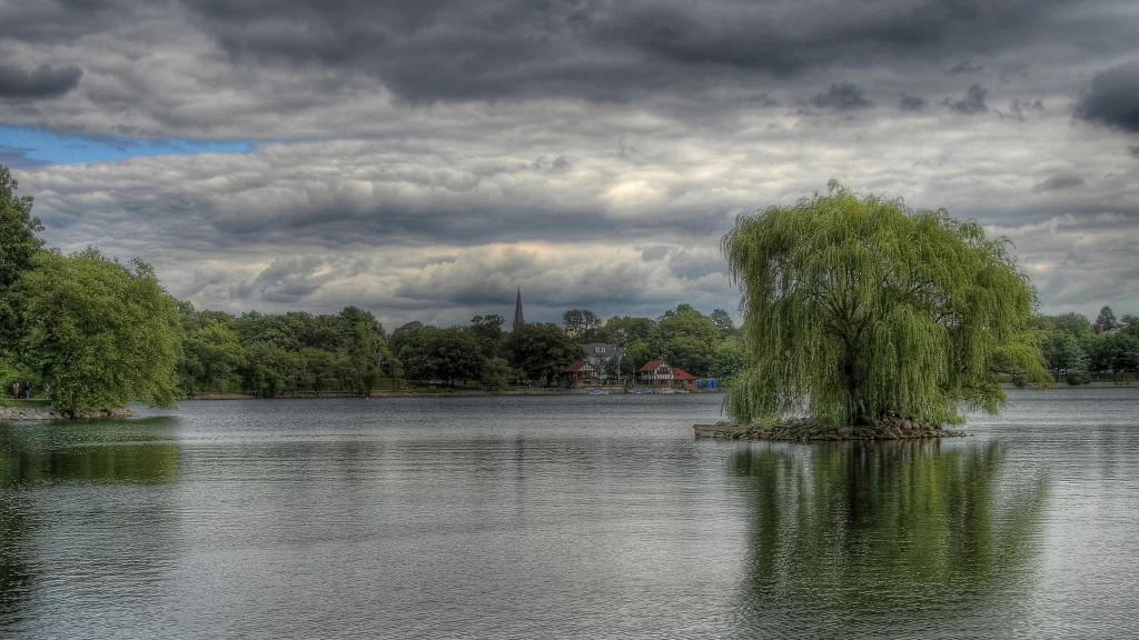 lake trees clouds sky reflection serene