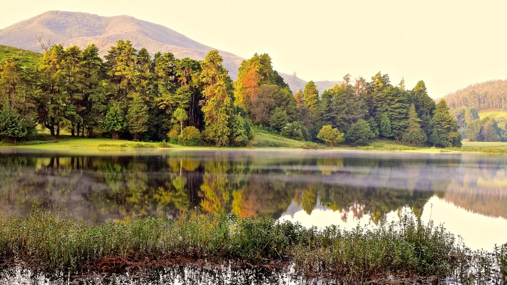 lake trees reflection mist mountains nature