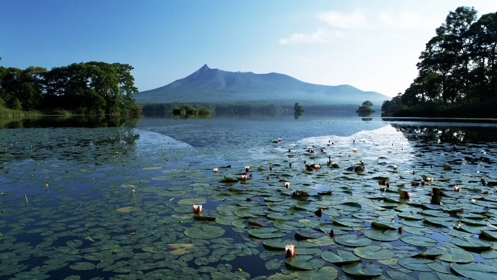 lake water lilies mountain trees reflection sky