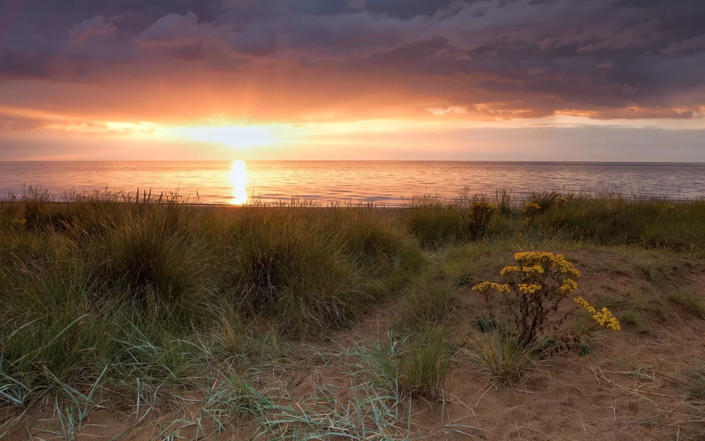 Sunset Orange Clouds Sea Grass Sand Dunes