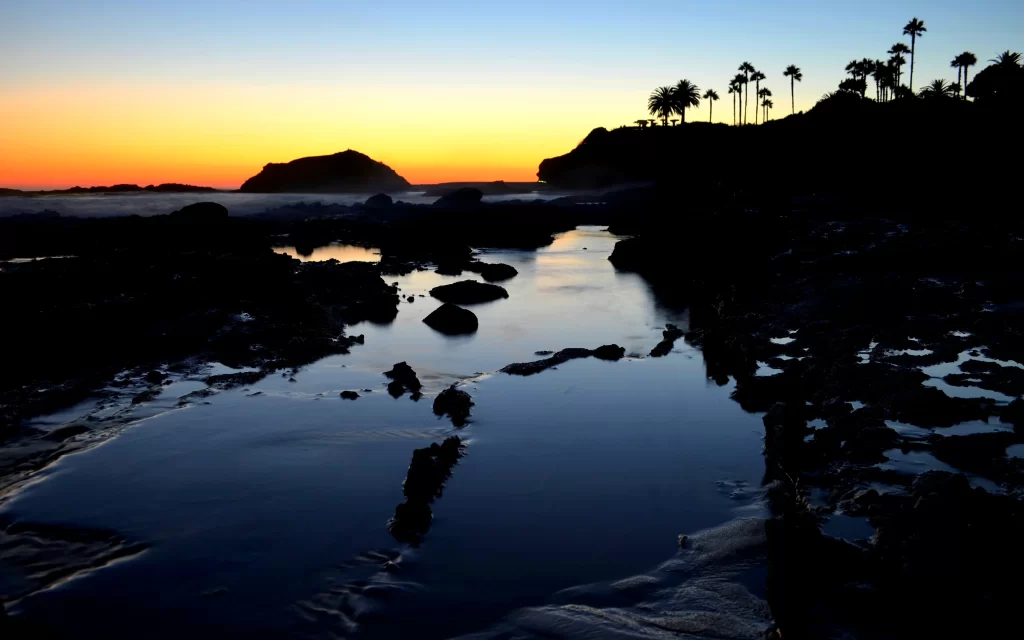 Sunset Silhouette Palm Trees Ocean Rocks Reflection